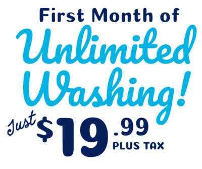 Shine Washes - H&H Shine Shop